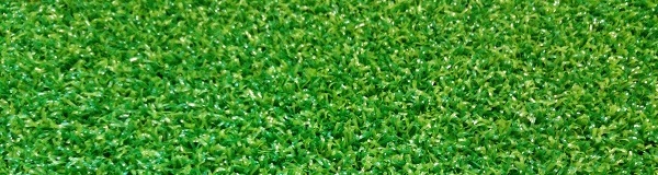 grass-carpet